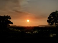 IMG_2957.jpeg
