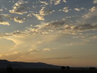 IMG_2967.jpeg