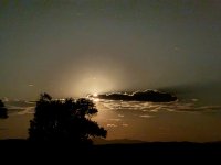 IMG_2970.jpeg