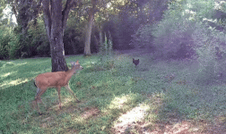 1000035861.gif