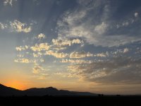 IMG_2982.jpeg