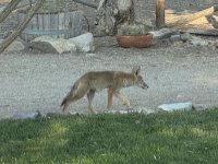 IMG_2987.jpeg