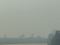 IMG_8840.jpeg