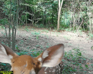 1000036206.gif