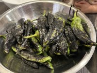 IMG_0033.jpeg