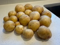 IMG_1850.jpeg