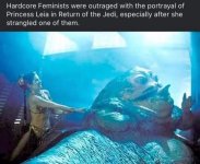 IMG_2041.jpeg