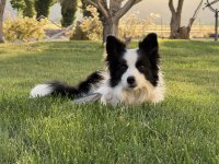 IMG_3031.jpeg