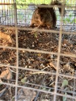 IMG_0841.jpeg