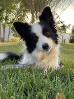 IMG_3034.jpeg