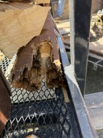 IMG_5173.jpeg