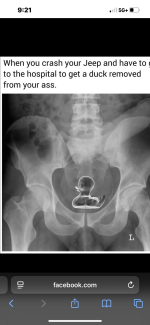 1752864010280.png