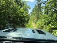 IMG_3949.jpeg