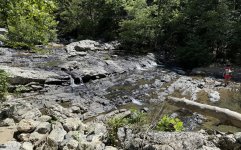 IMG_3965a.JPG