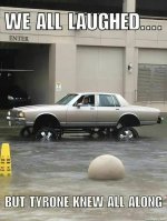 IMG_2095.jpeg