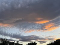 IMG_3158.jpeg