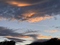 IMG_3157.jpeg