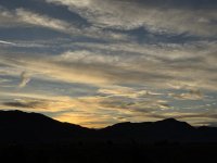 IMG_3168.jpeg