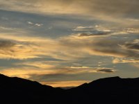 IMG_3172.jpeg