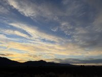 IMG_3170.jpeg