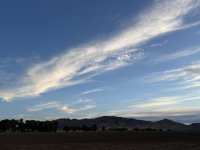 IMG_3169.jpeg