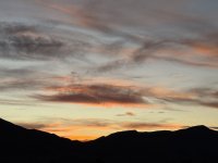 IMG_3175.jpeg