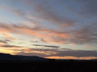 IMG_3176.jpeg