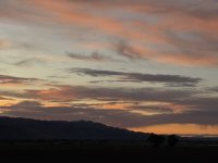 IMG_3177.jpeg