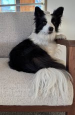 IMG_3186.jpeg