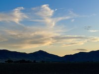 IMG_3193.jpeg