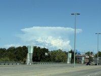 IMG_8943.jpeg