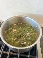 IMG_6621.jpeg