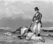 1753371232508.gif