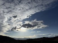 IMG_3205.jpeg