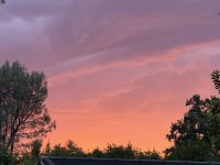 IMG_8949.jpeg