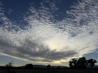 IMG_3224.jpeg