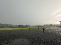 IMG_9157.jpeg