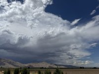 IMG_3245.jpeg
