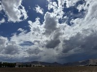 IMG_3244.jpeg