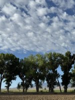 IMG_3227.jpeg