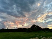 IMG_0115.jpeg