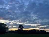 IMG_7481.jpeg