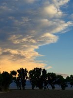IMG_3259.jpeg