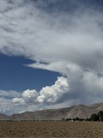 IMG_3272.jpeg