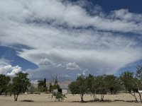 IMG_3275.jpeg