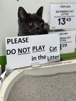IMG_1337.jpeg