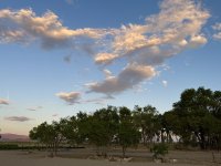 IMG_3290.jpeg