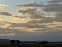 IMG_3287.jpeg
