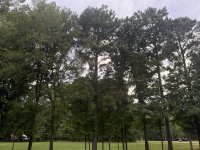 IMG_3995.jpeg