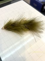 IMG_6646.jpeg